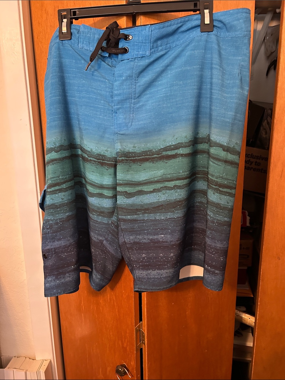 Hang Ten Blue and Green Gradient Stripe Board Shorts